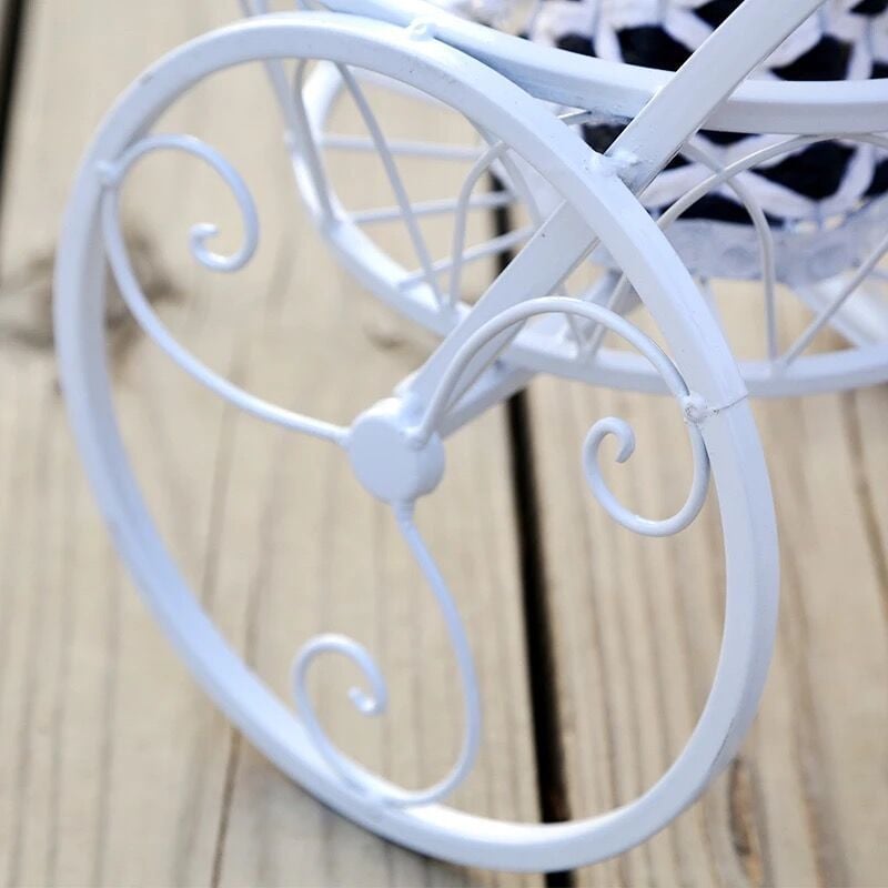 Tricycle Plant Stand for Home Garden and Patio