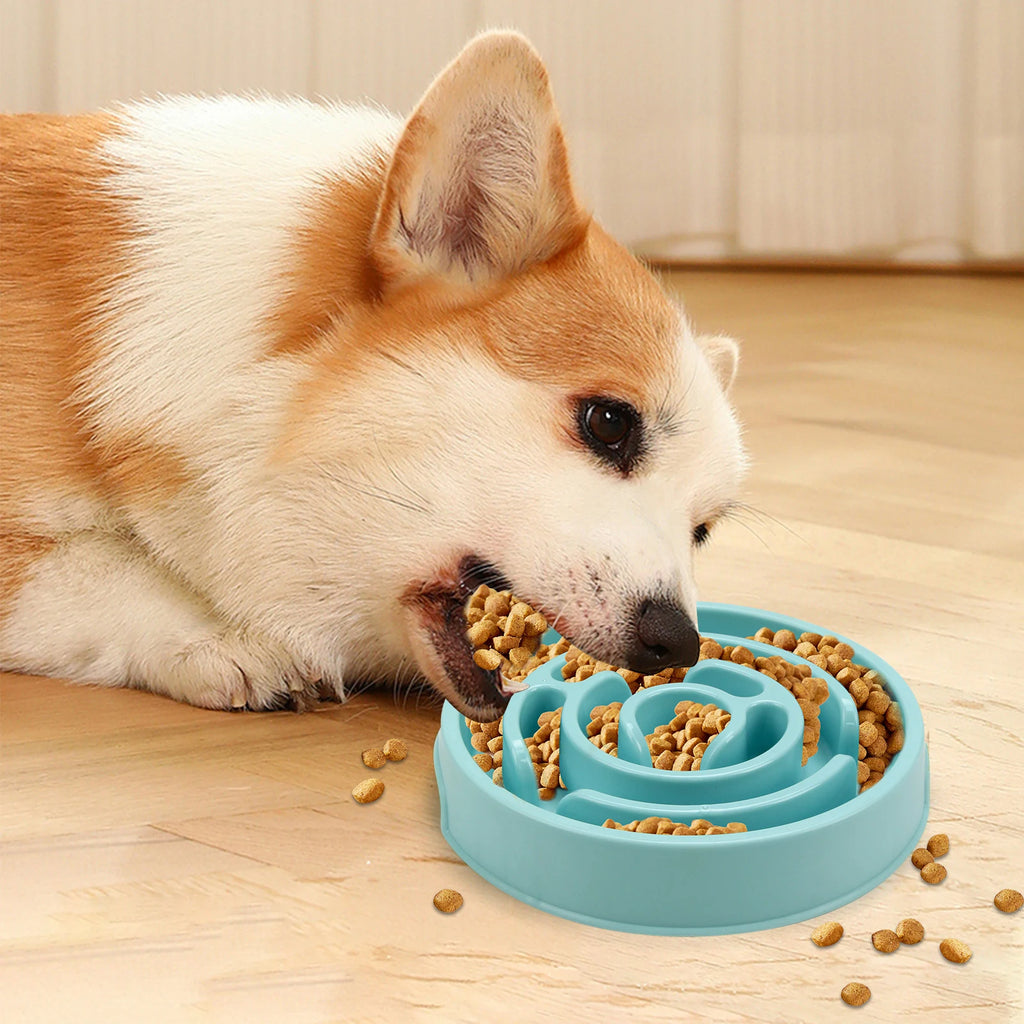 Pet Dog Slow Feeder Bowl Fun Non Slip Anti-Gulping Slower Food Feeding Dishes Eco Dog Bowl for Large Medium Small Dogs Puppy